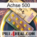 Axcil 500 new06